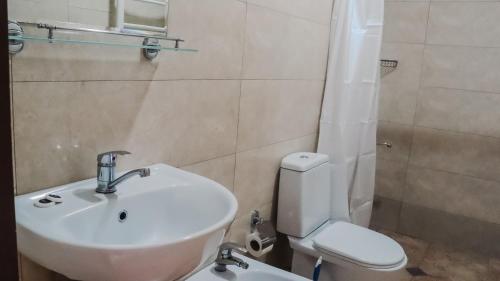 a bathroom with a sink and a toilet and a shower at Shushabandi Kazbegi in Stepantsminda