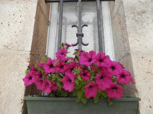a pot of pink flowers in front of a window at Château Ardilleux in Ardilleux