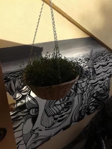 Loft House Eusepi – Photos 2