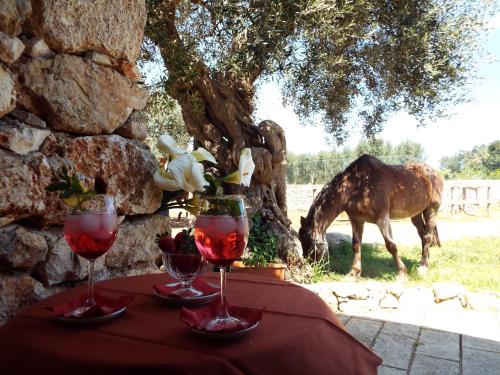 a table with two wine glasses and a horse in the background at Delle Rose, Hotel & Horse Riding in Torre Vado