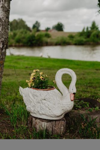 Fotografie z fotogalerie ubytování Brzozowa Polana v destinaci Budry