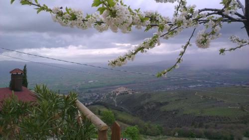 Un paisaje natural cerca del departamento