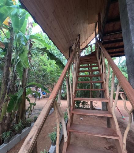 ハバラナにあるGisban Wood Cabana & Hostelのギャラリーの写真
