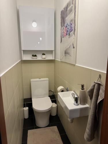 a bathroom with a toilet and a sink at A&M Apartments - apartment Prostejovska in Prešov