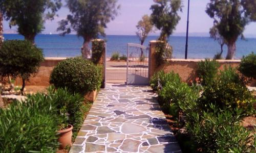 Gallery image of Studios Antoniou in Skala