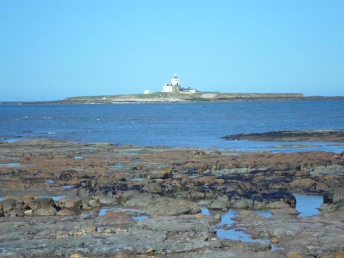 a rocky shore with a lighthouse in the background at The Bridges B&B in Broomhill