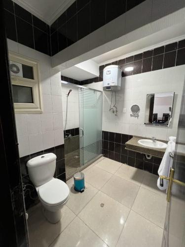 a bathroom with a shower and a toilet and a sink at Jewel San Stefano Hotel in Alexandria