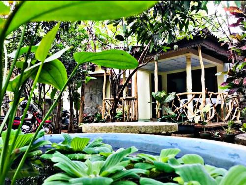 Gisban Wood Cabana & Hostelにある庭