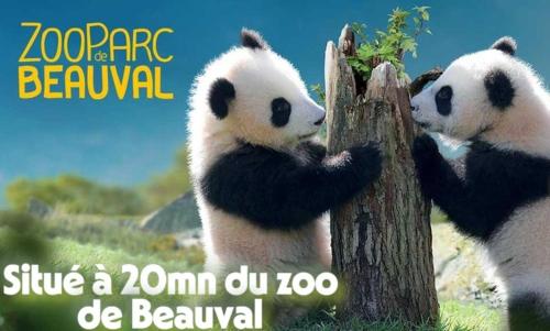 deux pandas sont assis sur une souche d'arbre dans l'établissement Camping Onlycamp La Potinière, à Écueillé