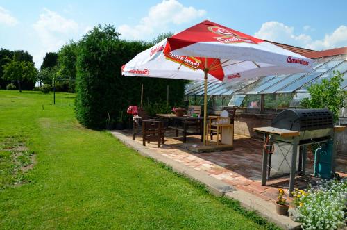 a patio with a table and an umbrella and a grill at Vila Kateřina in Broumov
