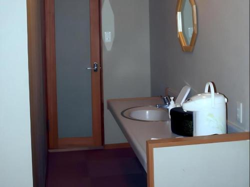 a bathroom with a sink and a mirror at Petit Hotel Hoshi no Shizuku in Kitashiobara