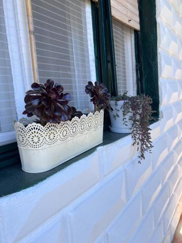 two potted plants sitting on a window sill at Villa Mandarin in Opuzen