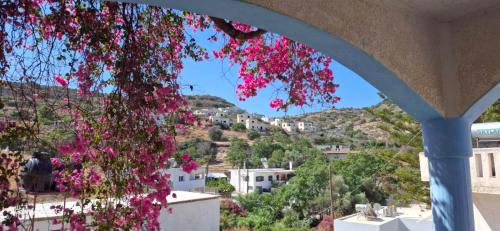 a bunch of pink flowers hanging from a tree at Izabella Studios Apartments in Pitsidia