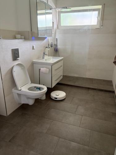 a bathroom with a toilet and a sink and a window at Am Hohentwielblick in Singen