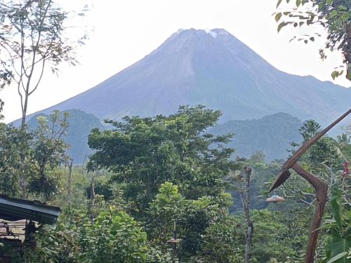 a mountain in the distance with trees in the foreground at Villa Mak Cik in Yogyakarta