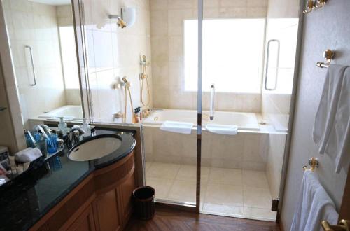 a bathroom with a shower and a sink and a tub at Grand Hotel New Oji in Tomakomai