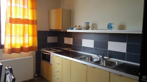 Kuchyň nebo kuchyňský kout v ubytování Apartment Plaisir