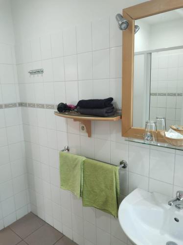 a bathroom with a sink and a mirror and towels at Penzion Andy in Děčín