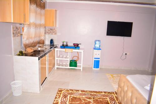 Η κουζίνα ή μικρή κουζίνα στο Imani apartment
