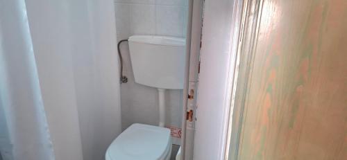 a bathroom with a white toilet in a room at Izabella Studios Apartments in Pitsidia