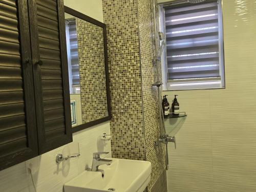a bathroom with a sink and a mirror at Jeju Gaviota Pension in Jeju