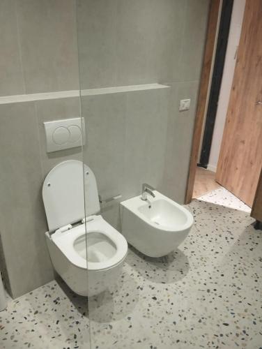 a bathroom with a toilet and a sink at Grit old Bazaar apartment in Tirane