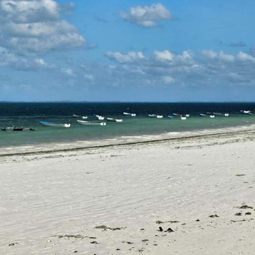 a beach with a bunch of boats in the water at Spacious Beachfront Condo -AC - WiFi, Uroa Escape Zanzibar in Uroa