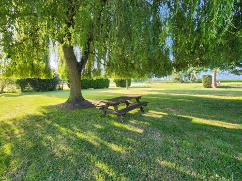 a picnic table under a tree in a park at Ferme de la Forterie in Verlinghem