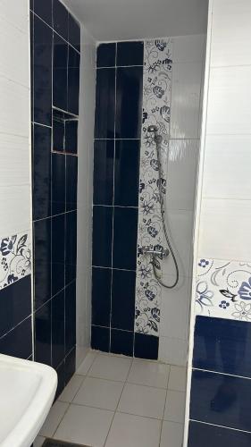Ένα μπάνιο στο méditerranéen style apartement- kelibia