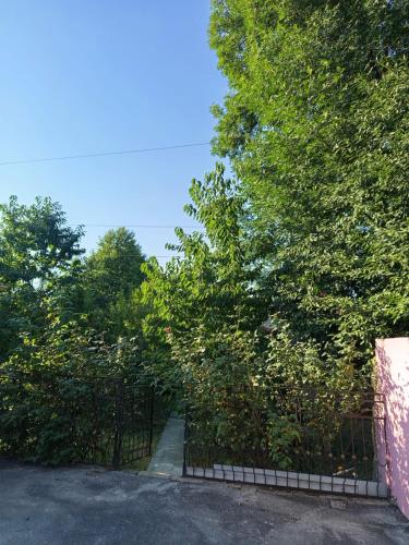 Gallery image of Quba Villa near Forest & Lake in İkinci Nügǝdi