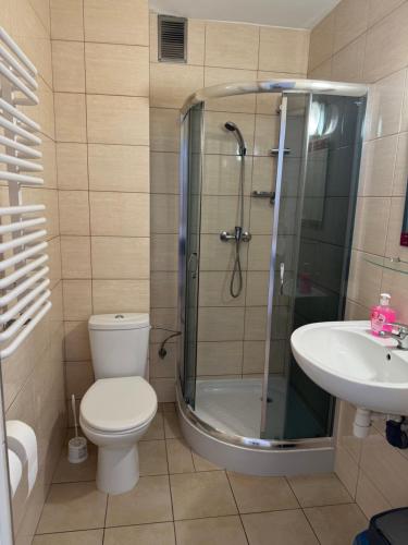 a bathroom with a shower and a toilet and a sink at Willa Aleksander in Rowy