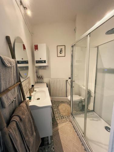 a bathroom with a shower and a sink and a toilet at Le Haut des Halles in Martel