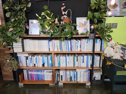 two wooden book shelves filled with books with potted plants at Jeju Gaviota Pension in Jeju