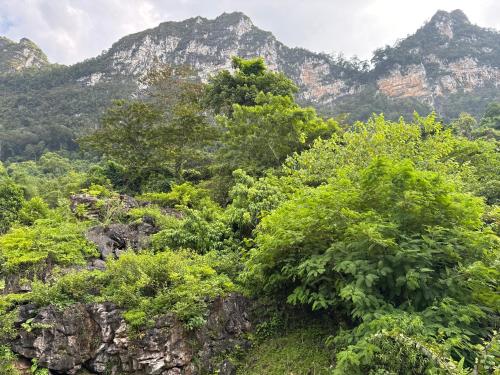 a mountain with trees and mountains in the background at Ba Be Lake - Nhà Nghỉ Thư Nhạc in Bak Kan