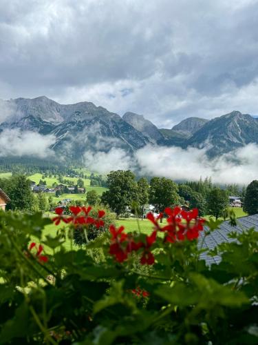 a field of red flowers with mountains in the background at Pension Möslehnerhof in Ramsau am Dachstein