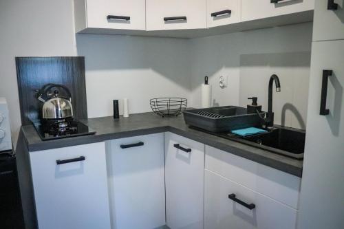 a kitchen with white cabinets and a sink at Agroturystyka BieszCzadowa Dolina Cisna in Cisna