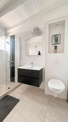 a bathroom with a sink and a toilet and a shower at Villa Carolina at Ayo Bonaire in Kralendijk