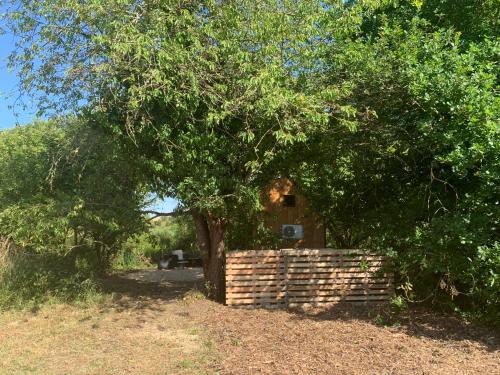 Taman di luar Tiny sur Conie Avec volupté