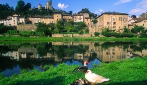two ducks sitting on the grass near a body of water at maison d'hôtes in Rouffiac