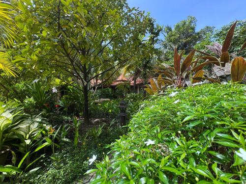 a garden with plants and a house in the background at Hotel Somadevi Angkor Resort & Spa in Siem Reap