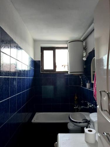 a bathroom with a tub and a toilet and a window at Apartman M5 in Cetinje