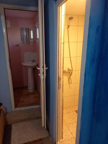 a bathroom with a shower and a toilet and a sink at Guest House Napareuli in Napareuli