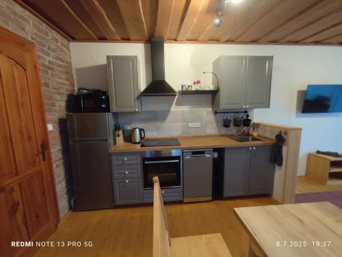a kitchen with stainless steel appliances and gray cabinets at Apartmán Renata Běloves in Náchod