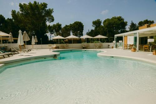 a large swimming pool with chairs and umbrellas at Ses Eufabietes Apartments & Restaurant in Sant Francesc Xavier
