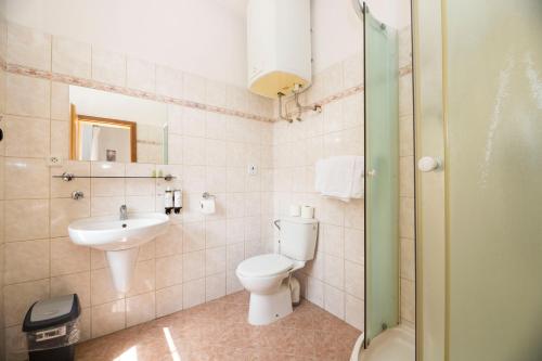 a bathroom with a toilet and a sink at Grandhotel Sluchátko - EX Zámecký hotel in Vranov nad Dyjí