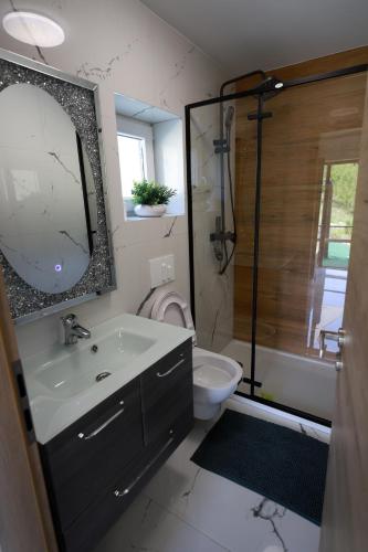 a bathroom with a sink and a toilet and a mirror at Leona in Kamešnica