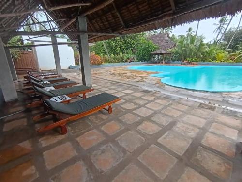 a row of lounge chairs next to a swimming pool at mafiakivulinilodge in Utende