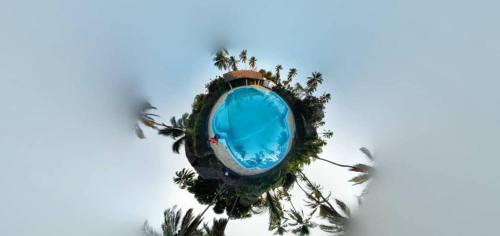 a building with palm trees in the sky at mafiakivulinilodge in Utende