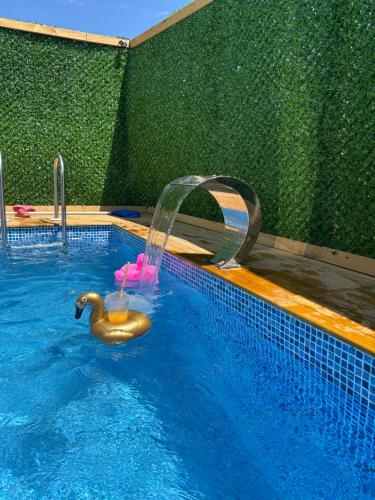 a swimming pool with a rubber duck in the water at Karahan bungalov in Tayakadın