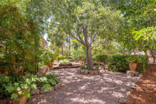 a garden with a tree and some plants at Can Toni Gat in Bunyola